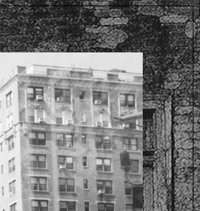 James tafel Shuster home page image