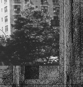 James tafel Shuster home page image